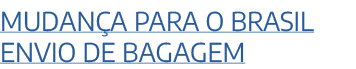 Mudan a para o Brasil Envio de Bagagem