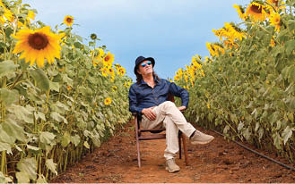A person wearing a dark hat, sunglasses, a dark blue shirt, and light-colored pants is sitting on a wooden chair with legs crossed in the middle of a sunflower field under a clear sky. Description generated by AI